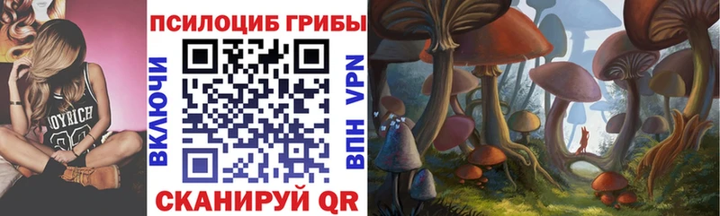 Купить закладки  Лукоянов  Псилоцибиновые грибы мицелий 